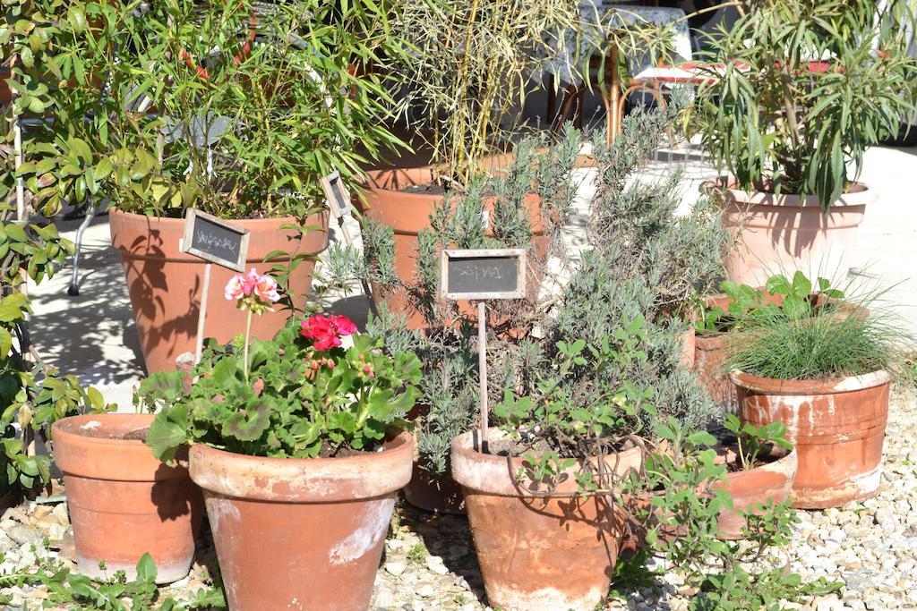 La Locanda di Valbella Asti Esterno foto