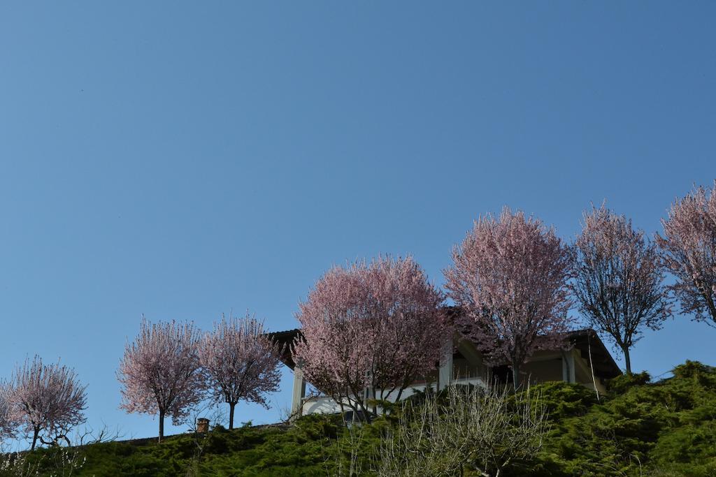 La Locanda di Valbella Asti Esterno foto